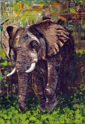 Elephant-Matriarch